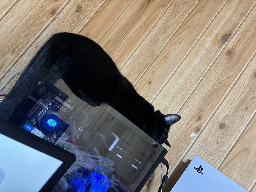 🌸配信中の時のるなちゃま🌸