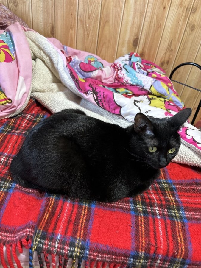 🌸足がのびーる🌸