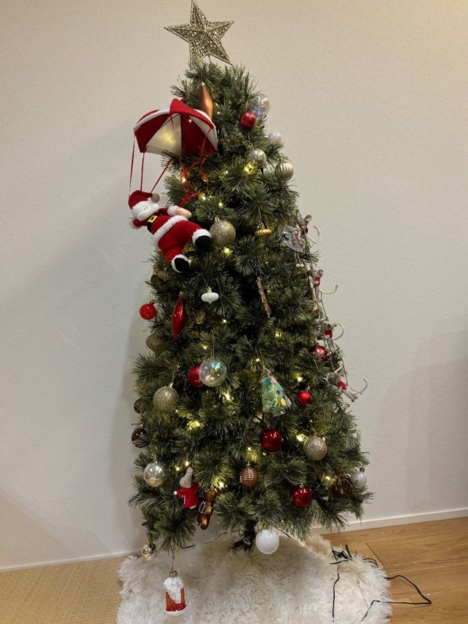 我が家のクリスマス🎄