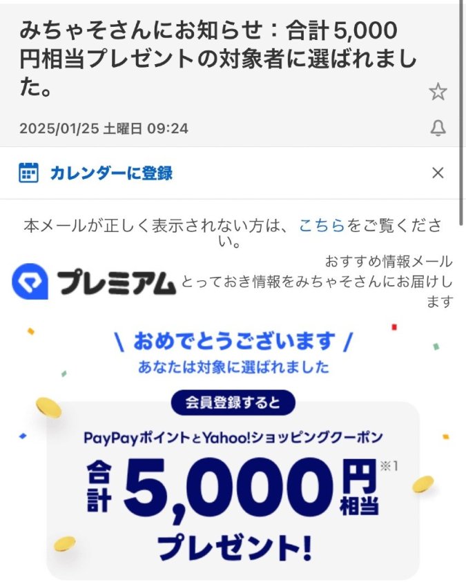 🌸PayPay5000円分🌸