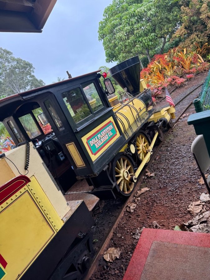 ドールプランテーション