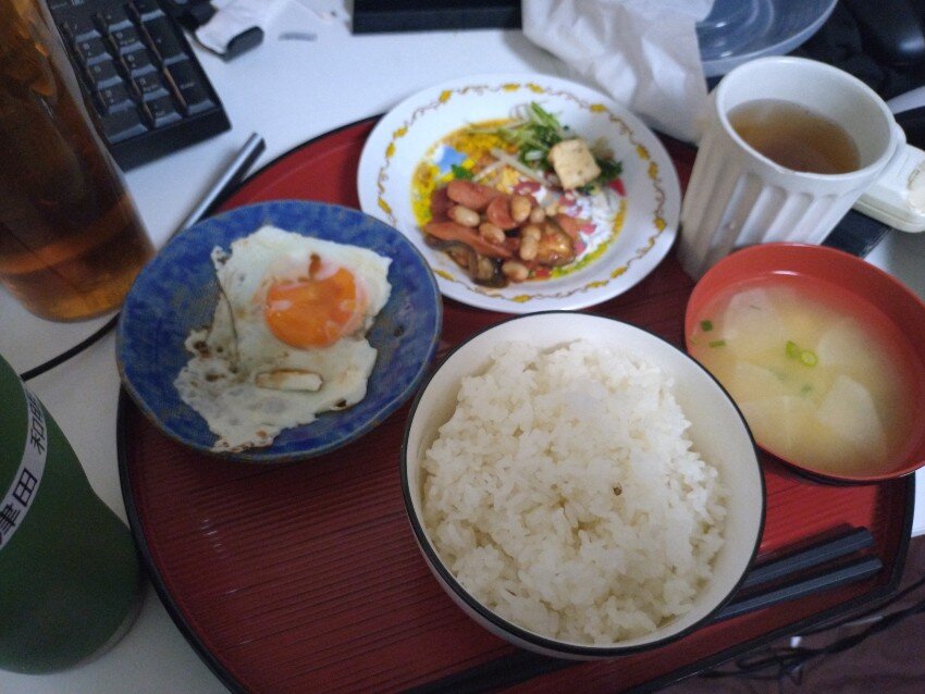 本日の朝飯