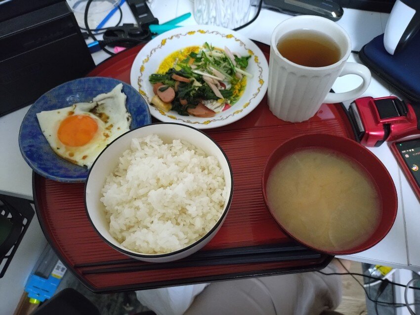 本日の朝飯