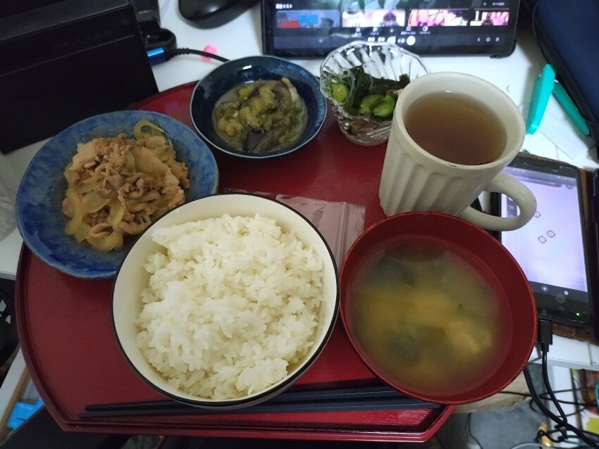 本日の夕飯