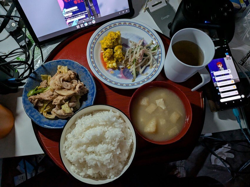 本日の夕飯