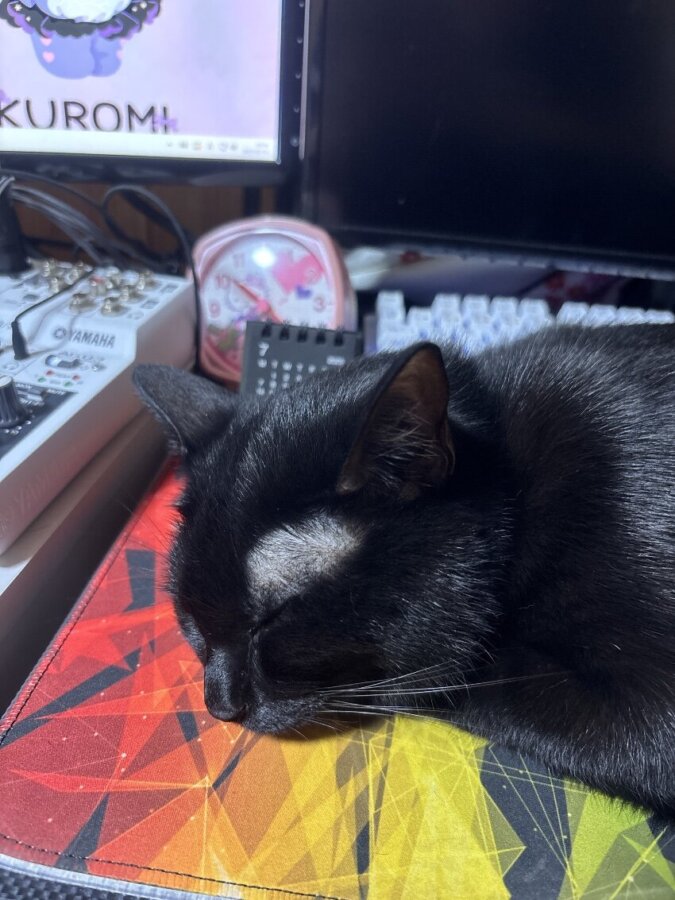 🌸お寝んね🌸