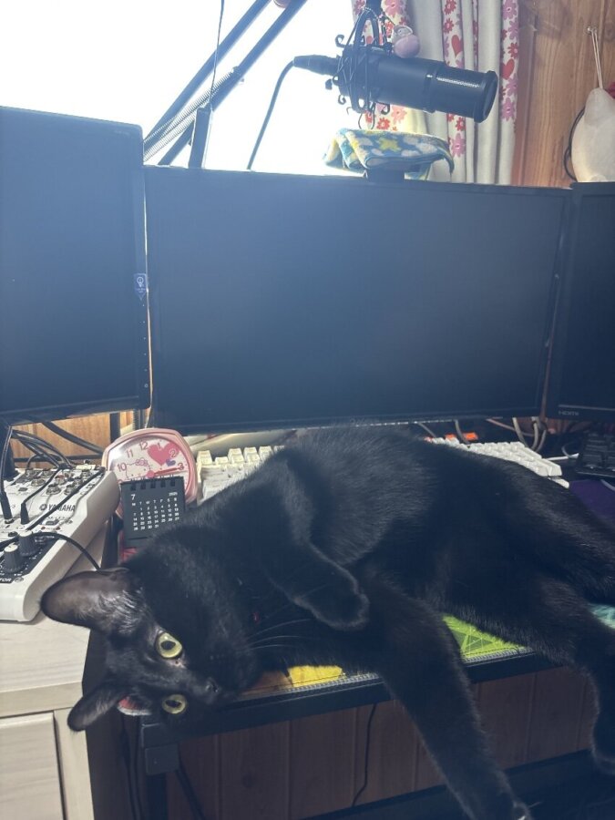 🌸凄い体制🌸