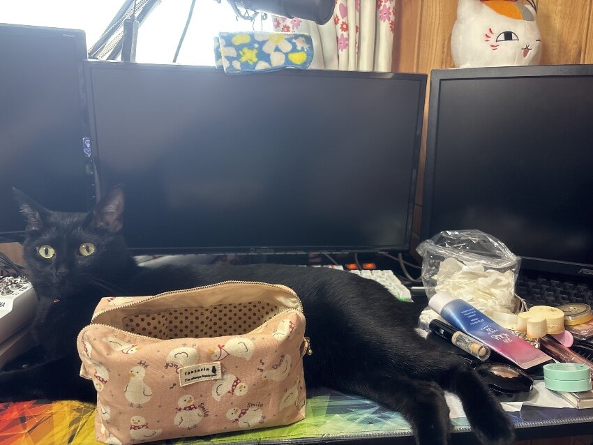 🌸メイクの仕方🌸