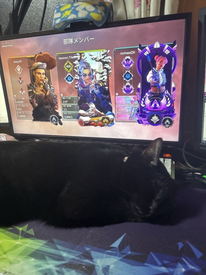 🌸離れない🌸