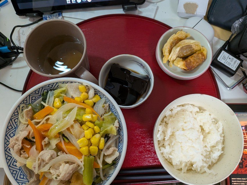 本日の夕飯＋モーモンバザー部分開放