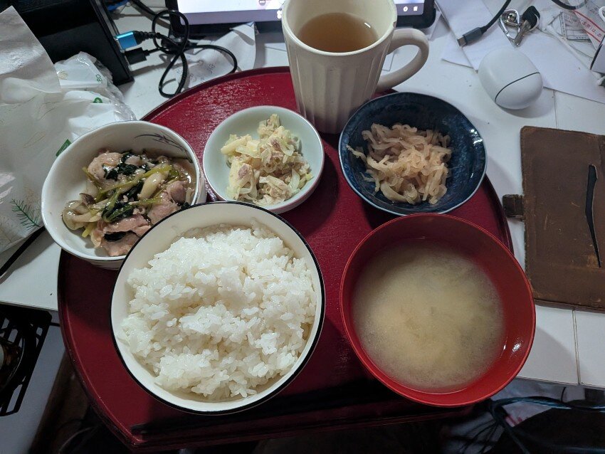 本日の夕飯