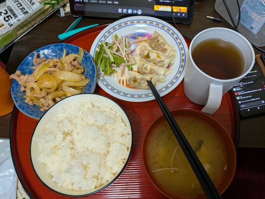 本日の夕飯