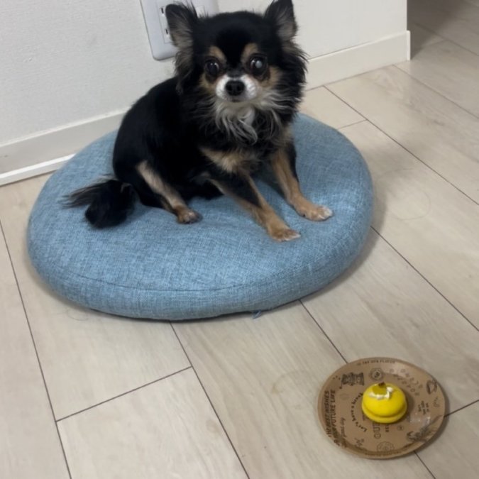 めめちゃん14歳お誕生日