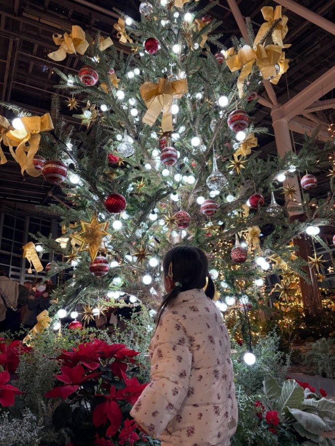 またまた時差投稿です