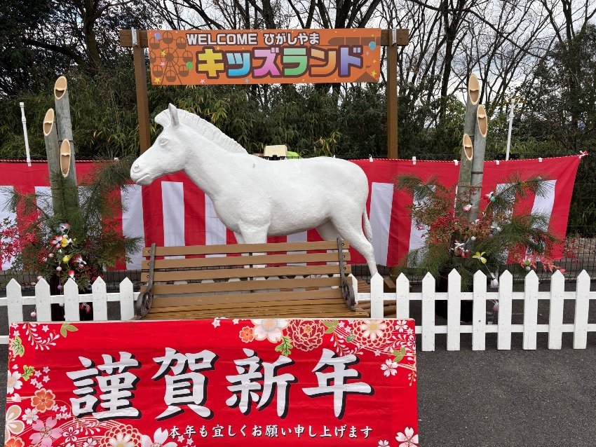 年明けから寒すぎ