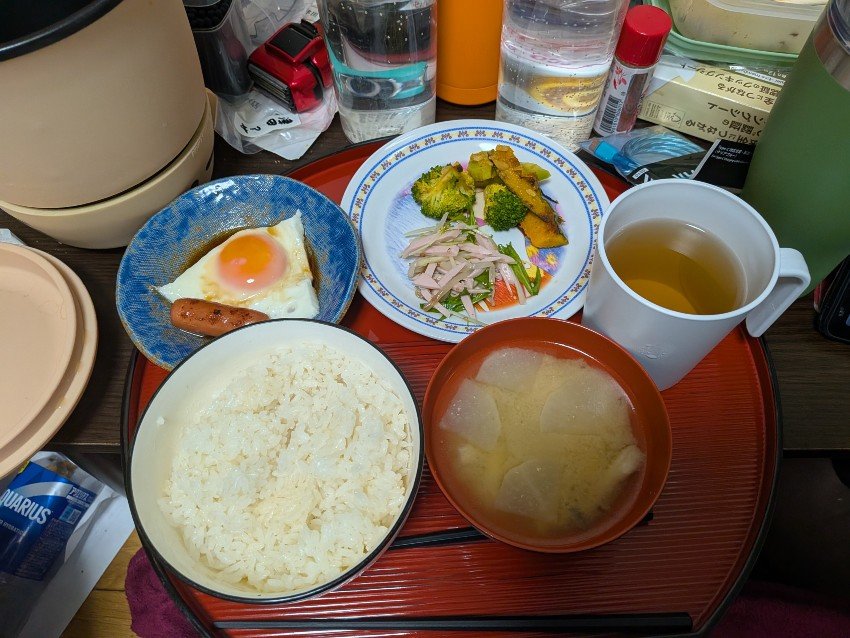 本日の朝飯