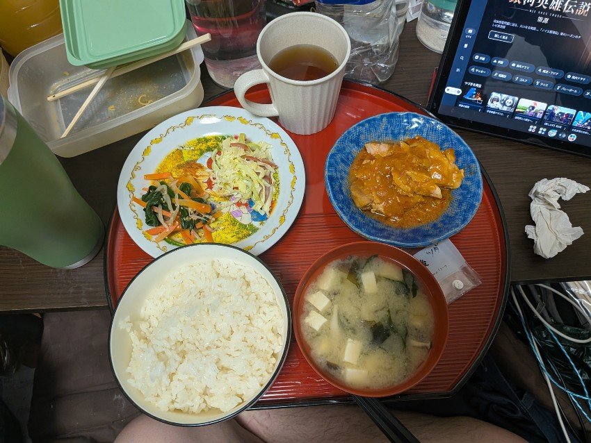 本日の夕飯