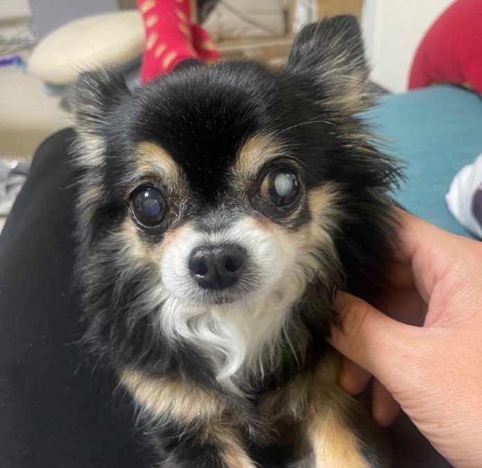 アタシだけヨシヨシして〜！