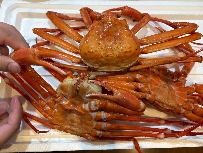 カニ🦀